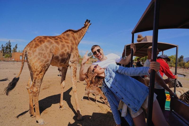 Aventura en Parque Safari